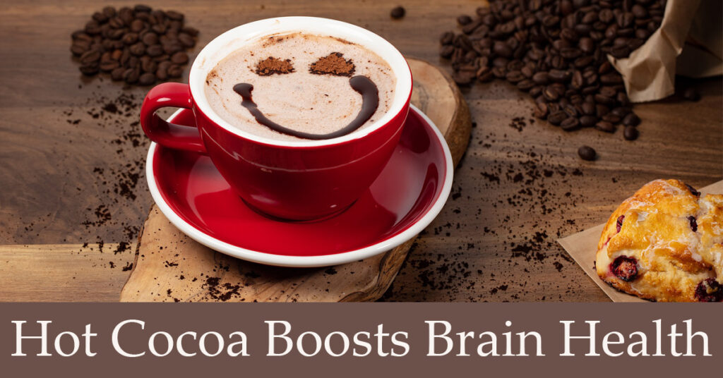 Chocolate is Good for The Brain
